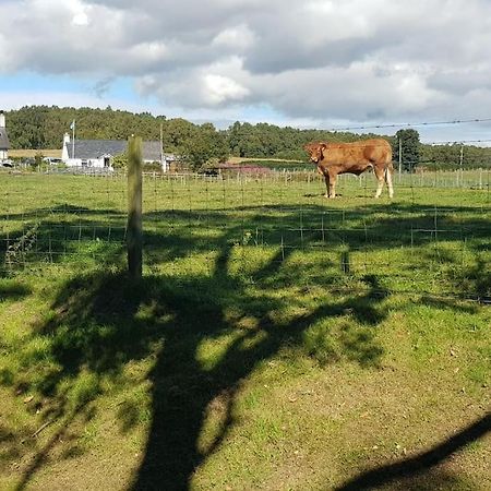 Cosy 2 Bedroom Croft Cottage With Beautiful Views North Kessock Luaran gambar